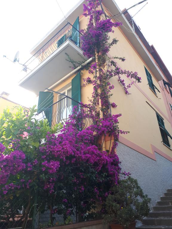 Da Rita Daire San Terenzo Dış mekan fotoğraf
